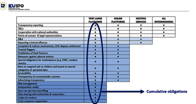 Obligations imposées par le Digital Services Act