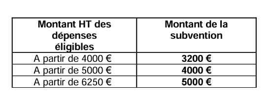 Montant des Subventions du Chèque Diagnostic Cyber